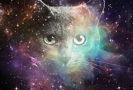 Image result for Galaxy Cat Animation