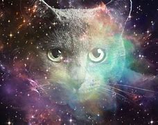 Image result for Space Cat Tone