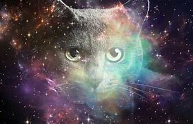 Image result for Space Cat Wallpaper Desktop 3456X1954