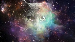 Image result for Astronomy Cat Art