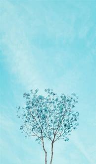 Image result for Blue Aesthetic iPhone Wallpaper