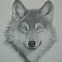 Image result for Cool Wolf Drawings