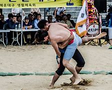 Image result for Korean Wrestling