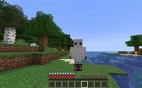 Image result for Fully Invisible Minecraft Skin