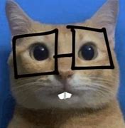 Image result for El Gato Shepra Cat Meme