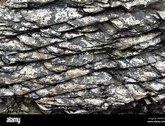 Image result for Fine-Grained Texture