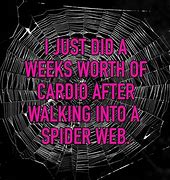 Image result for Walking through Spider Web Meme