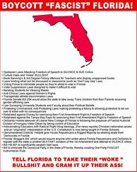 Image result for Boycott Florida Flag