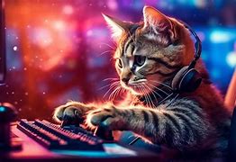Image result for Gamer Cat High Quality