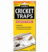 Image result for Cricket Insect Trap