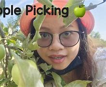 Image result for Apple-Picking Robot