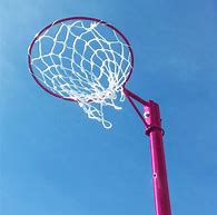 Image result for Netball Field