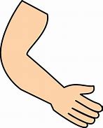 Image result for Clip Art Arm White