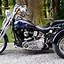 Image result for Custom Harley Freewheeler Trike