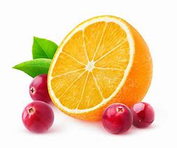 Image result for Cranberry Orange Clip Art
