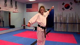 Image result for American Karate Studio