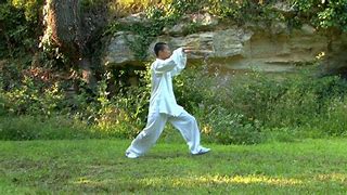 Image result for Tai Chi 24 Steps
