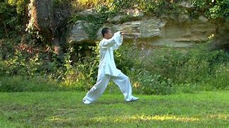 Image result for Beginners Tai Chi 24 Movement
