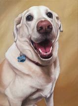 Image result for Pet Portraits