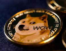 Image result for Doge Coin Meme Clinical Trials