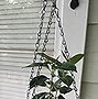 Image result for Hanging Plant Chain