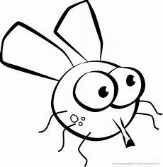 bilder zum ausmalen insekten ausmalbilder k 228 fer schmetterlinge insekten bilder zum ausmalen insekten ausmalbilder k 228 fer schmetterlinge insekten