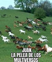 Image result for Memes De Juan