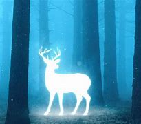 Image result for Magical Forest Deer