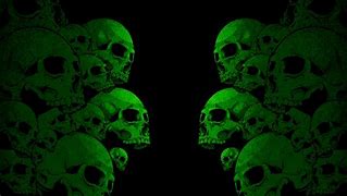 Image result for skulls