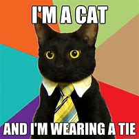 Image result for Polite Cat with a Tie Mug Face Meme