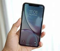 Image result for iPhone XR Colors Pink