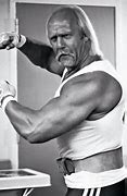 Image result for Hulk Hogan Arms