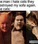 Image result for Cats Movie 2019 Memes