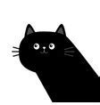 Image result for Kawaii Black Cat Galaxy