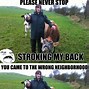 Image result for Cows P P Meme