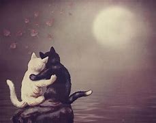Image result for Epic Galaxy Background Cat