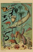 Image result for Red Fish Painting