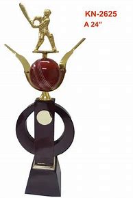 Image result for Man of the Match Trophy Cricket