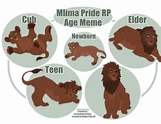 Image result for Android 2.1 Age Meme