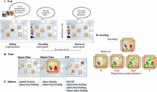 Image result for Episodic Memory Test Example