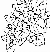 Image result for Jungle Vines Coloring Pages