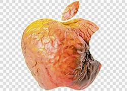 Image result for Apple Logo Funny Rotten