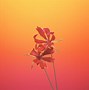 Image result for Wallpaper iPhone X Screen Template