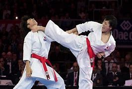 Image result for Top 10 Deadliest Martial Arts