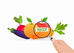 Image result for HACCP Cartoon