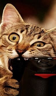 Image result for Funny Wallpaper Faces iPhone