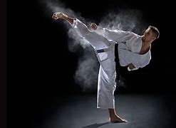 Image result for Martial Arts Ppt Background