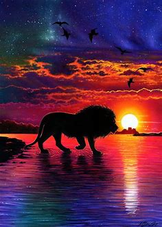 Lion Sunset Wallpapers - Top Free Lion Sunset Backgrounds - WallpaperAccess