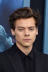 Image result for Harry Styles Profile