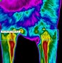 Image result for Thermal Imaging My Cat